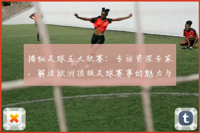 揭秘足球五大联赛：专访资深专家，解读欧洲顶级足球赛事的魅力与竞争格局